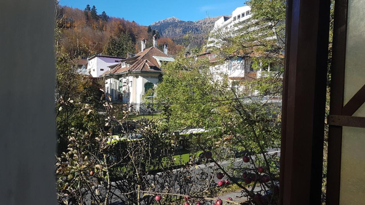 Hotel Pensiunea Casa Noastra Sinaia Exterior foto